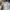Original Gucci Bloom - Tester No Tutup photo 1