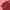 Beatrice Clothing Bodycon Maroon Dress photo 3