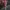 Beatrice Clothing Bodycon Maroon Dress photo 5