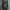 BASQUE TRENCH COAT photo 5
