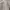 Maison Margiela Pocket Tags Button Shirt photo 5
