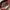 konoka ice cream slingbag photo 2