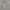 Le Coq Sportif Body Fit Longsleeve  photo 1