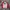 CREWNECK DIKCIES  photo 1