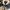 Jaket Outdoor Sherpa Vest / Rompi Blanchechou