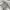 outer photo 1