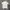 T-SHIRT BAPE photo 2