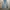 IZZUE ARMY JEANS RIPPED photo 1