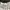Hanes Vintage Streetwear T-shirt Pria white photo 6