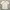 Vintage Jersey Adidas Germay Word Cup 2014 photo 1