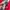 Starter Rugby Colour Block photo 5