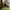 Vintage Coxx Borba Repona Portugal Monkey Boots photo 2