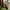 Vintage Coxx Borba Repona Portugal Monkey Boots photo 1
