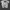 cruising casino treasure bay Tshirt photo 3