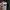 Oakley Streetwear Sportswear Hoody Pria white black photo 4