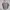 Colorbox Striped Pink Crop Tee