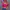 Shein Hot Pink Crop Top Square Neck Puff Sleeve photo 1