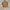 Zara kids yellow crop tee photo 1