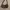 Bershka Collection Gray Bag 