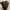 g brown shoulder/slingbag photo 3