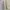 Von Dutch Flare Leg Pants photo 1