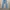 I Am Not A HumanBeing Jeans