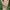 Luxury Wanita multicolor photo 1
