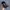 (baru 3jt) BNIB Florsheim como moc toe tassel loafer Burgund photo 1