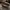 Converse Chuck Taylor Hi Renew “Life’s Too Short To Waste”  photo 4