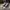 Converse Chuck Taylor Hi Renew “Life’s Too Short To Waste”  photo 3