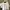 Crop top oversize photo 3