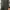 Steve Madden crossbody bag black woman photo 5