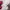 Ben Davis Streetwear Skater Hoody Pria white photo 4