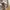 Luby Firinze Italia Abstract Pattern Knitwear  photo 8