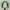 NEPA Gorpcore Sportswear Windbreaker Pria green navy photo 7