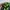 NEPA Gorpcore Sportswear Windbreaker Pria green navy photo 5