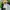 NEPA Gorpcore Sportswear Windbreaker Pria green navy photo 8