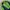 NEPA Gorpcore Sportswear Windbreaker Pria green navy photo 1