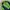 NEPA Gorpcore Sportswear Windbreaker Pria Green Navy