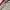 Vintage Streetwear Windbreaker Pria tan red photo 5