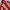 Vintage Streetwear Windbreaker Pria tan red photo 1