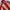 Vintage Streetwear Windbreaker Pria Tan Red