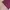 Y2K COMME CA ISM DOUBLE LAYER GRUNGE photo 6