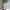 white corduroy pants ankle fit by unique clothing warehouse  photo 4