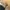 REGAL JAPAN Suede Vintage Chelsea Snow Hold photo 3