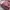 Louis Vuitton Vintage Hobo Bag Wanita Pink