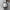 Seiko Vintage Casual Pria silver white photo 1