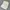 Celana panjang Long Pants Outdoor Line OR Circle photo 2