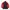 Umbro Sportswear Casual Windbreaker Pria red black photo 1