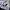 Sweatshirt Crewneck Basic Uni3ex Kai-aakm4nn white photo 4